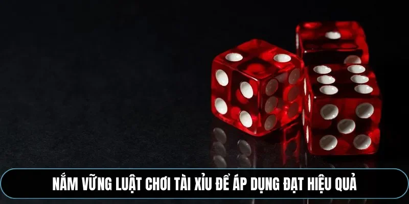 Nắm vững luật chơi t&agrave;i xỉu để &aacute;p dụng đạt hiệu quả