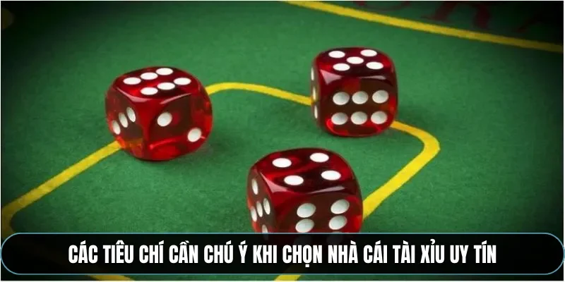 C&aacute;c ti&ecirc;u ch&iacute; cần ch&uacute; &yacute; khi chọn nh&agrave; c&aacute;i t&agrave;i xỉu uy t&iacute;n